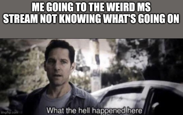 What the hell happened here | ME GOING TO THE WEIRD MS STREAM NOT KNOWING WHAT'S GOING ON | image tagged in what the hell happened here | made w/ Imgflip meme maker