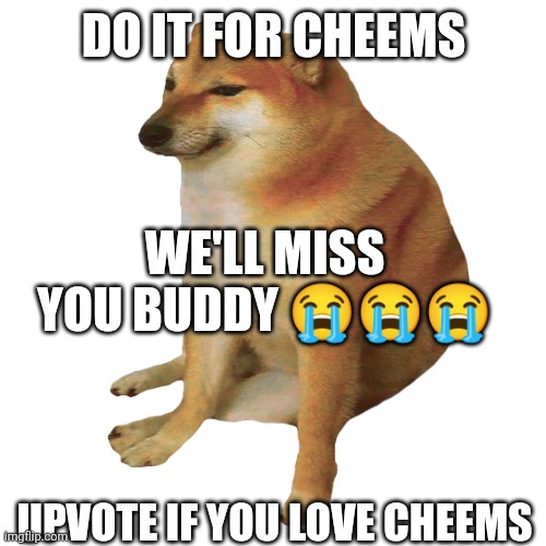 cheems | DO IT FOR CHEEMS; WE'LL MISS YOU BUDDY 😭😭😭; UPVOTE IF YOU LOVE CHEEMS | image tagged in cheems | made w/ Imgflip meme maker