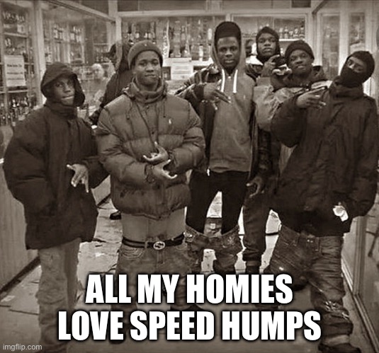 All My Homies Love | ALL MY HOMIES LOVE SPEED HUMPS | image tagged in all my homies love | made w/ Imgflip meme maker