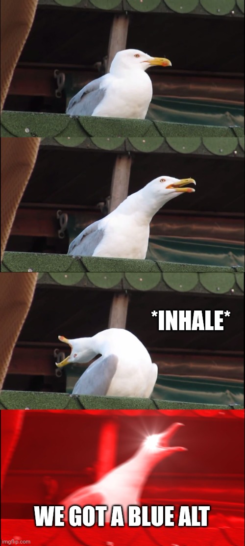 . | *INHALE*; WE GOT A BLUE ALT | image tagged in memes,inhaling seagull | made w/ Imgflip meme maker