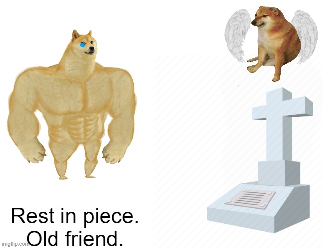 R.I.P cheems | Rest in piece. Old friend. | image tagged in memes,buff doge vs cheems,rip,cheems,buff doge,buff doge vs crying cheems | made w/ Imgflip meme maker