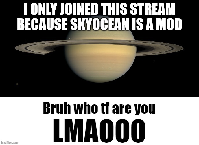 Bruh who tf are you LMAOOO | I ONLY JOINED THIS STREAM BECAUSE SKYOCEAN IS A MOD | image tagged in bruh who tf are you lmaooo | made w/ Imgflip meme maker