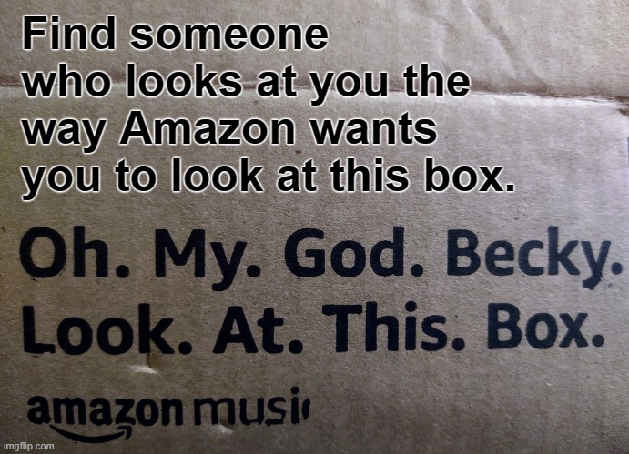 Find someone | Find someone who looks at you the way Amazon wants you to look at this box. | image tagged in cardboard box,amazon,funny memes | made w/ Imgflip meme maker