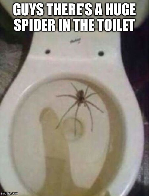GUYS THERE’S A HUGE SPIDER IN THE TOILET | made w/ Imgflip meme maker
