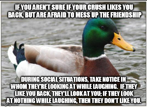 Actual Advice Mallard | IF YOU AREN'T SURE IF YOUR CRUSH LIKES YOU BACK, BUT ARE AFRAID TO MESS UP THE FRIENDSHIP DURING SOCIAL SITUATIONS, TAKE NOTICE IN WHOM THEY | image tagged in memes,actual advice mallard,AdviceAnimals | made w/ Imgflip meme maker