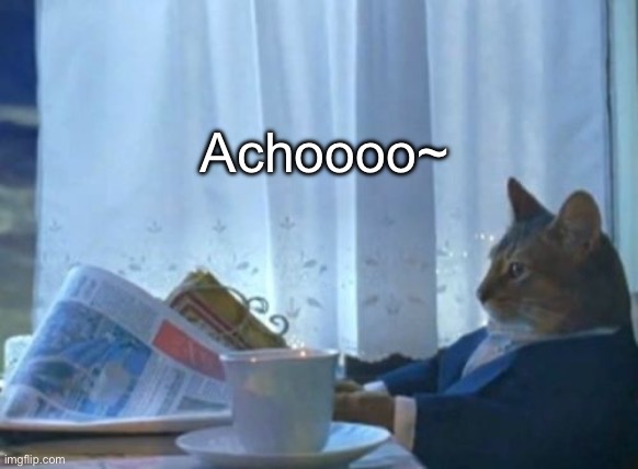 I Should Buy A Boat Cat | Achoooo~ | image tagged in memes,i should buy a boat cat | made w/ Imgflip meme maker