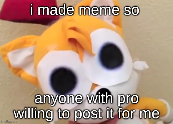 please | i made meme so; anyone with pro willing to post it for me | image tagged in tails plush cry | made w/ Imgflip meme maker