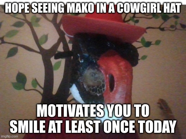 hope this made you smile :3 | HOPE SEEING MAKO IN A COWGIRL HAT; MOTIVATES YOU TO SMILE AT LEAST ONCE TODAY | image tagged in the furry fandom | made w/ Imgflip meme maker