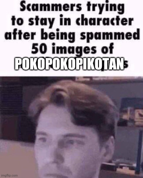 Scammers trying to stay in character after being spammed 50 imag | POKOPOKOPIKOTAN | image tagged in scammers trying to stay in character after being spammed 50 imag | made w/ Imgflip meme maker