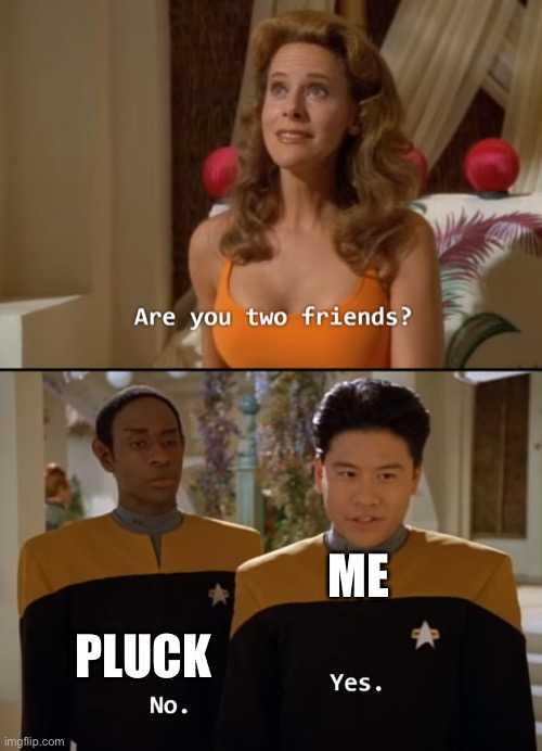 Are you friends? | ME PLUCK | image tagged in are you friends | made w/ Imgflip meme maker