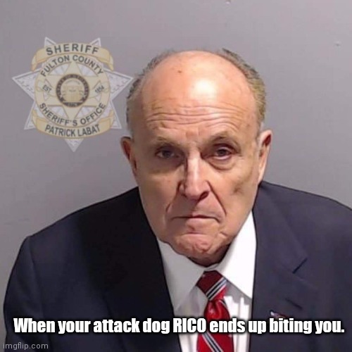 Rucy & RICO | When your attack dog RICO ends up biting you. | image tagged in funny | made w/ Imgflip meme maker