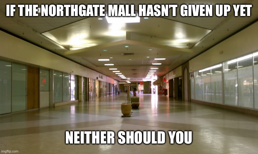 Northgate Struggles #IYKYK | IF THE NORTHGATE MALL HASN’T GIVEN UP YET; NEITHER SHOULD YOU | image tagged in louisiana,mall,lafayette,meme,northgate mall,lafayette mall | made w/ Imgflip meme maker