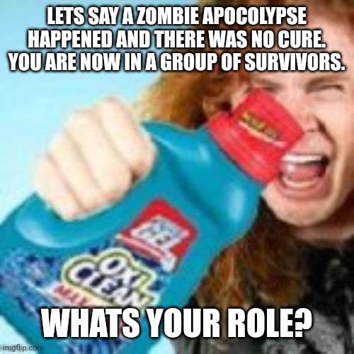 Idk im bored. | LETS SAY A ZOMBIE APOCOLYPSE HAPPENED AND THERE WAS NO CURE. YOU ARE NOW IN A GROUP OF SURVIVORS. WHATS YOUR ROLE? | image tagged in shitpost | made w/ Imgflip meme maker