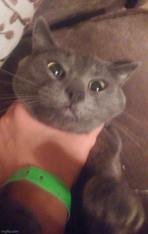 YOU | made w/ Imgflip meme maker