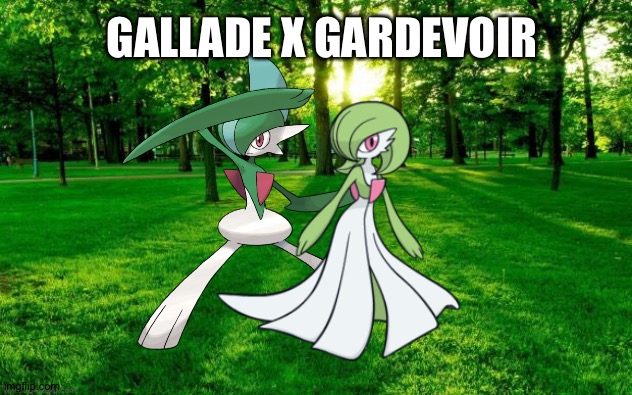Gallade and Gardevoir enjoying a romantic moment in the forest | GALLADE X GARDEVOIR | image tagged in landscape | made w/ Imgflip meme maker