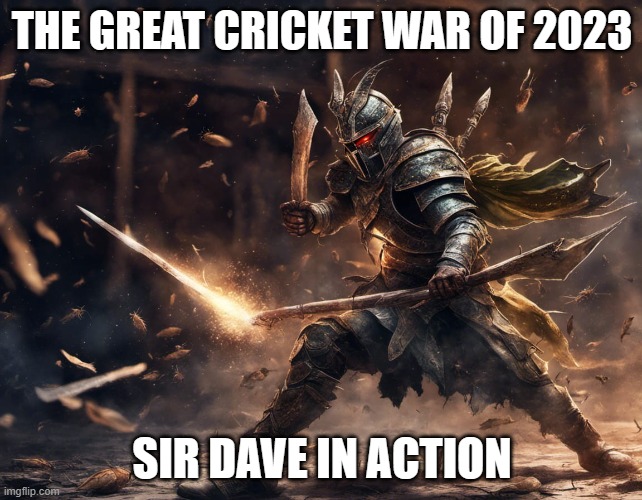 The Great Cricket War of 2023 | THE GREAT CRICKET WAR OF 2023; SIR DAVE IN ACTION | image tagged in warrior,crickets | made w/ Imgflip meme maker