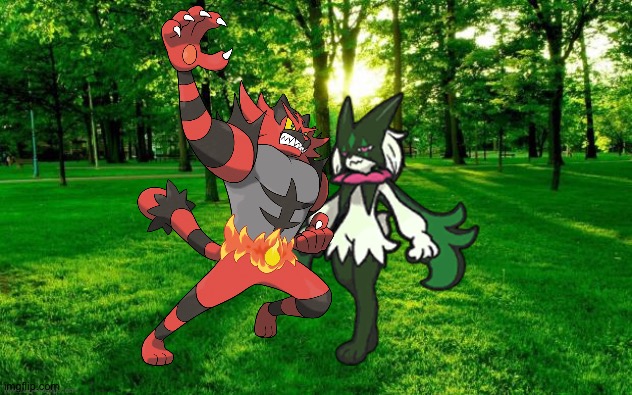 Incineroar and Meowscarada enjoying a romantic moment in the forest | image tagged in landscape | made w/ Imgflip meme maker