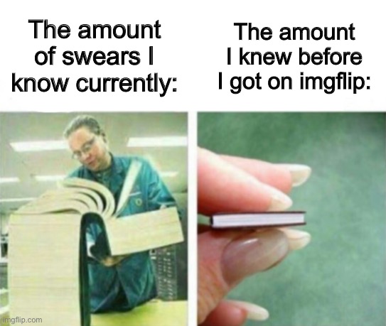 Especially after this “chaos” going on | The amount I knew before I got on imgflip:; The amount of swears I know currently: | image tagged in my knowledge of blank | made w/ Imgflip meme maker