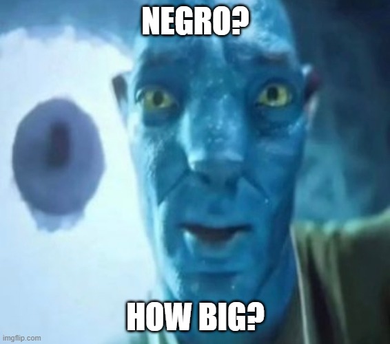 Negro?  How Big? | NEGRO? HOW BIG? | image tagged in avatar guy,dank memes,big,meme,spanish | made w/ Imgflip meme maker