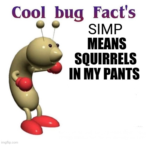 Phineas and ferb meme | SIMP; MEANS SQUIRRELS IN MY PANTS | image tagged in cool bug facts | made w/ Imgflip meme maker