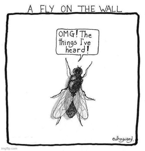 ...and he keeps it all to himself | image tagged in vince vance,fly,fly on the wall,memes,comics/cartoons,insects | made w/ Imgflip meme maker