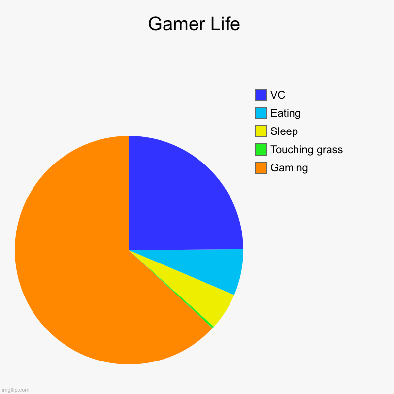 Gamer Life | Gaming, Touching grass, Sleep, Eating , VC | image tagged in charts,pie charts,true,funny,facts,gaming | made w/ Imgflip chart maker