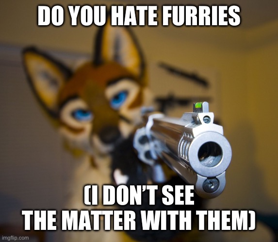 Furry with gun | DO YOU HATE FURRIES; (I DON’T SEE THE MATTER WITH THEM) | image tagged in furry with gun | made w/ Imgflip meme maker