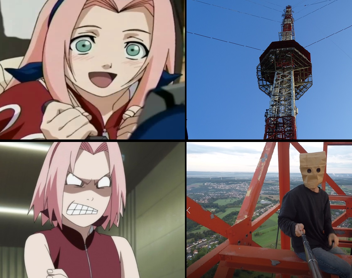 High Quality Sakura Blank Meme Template