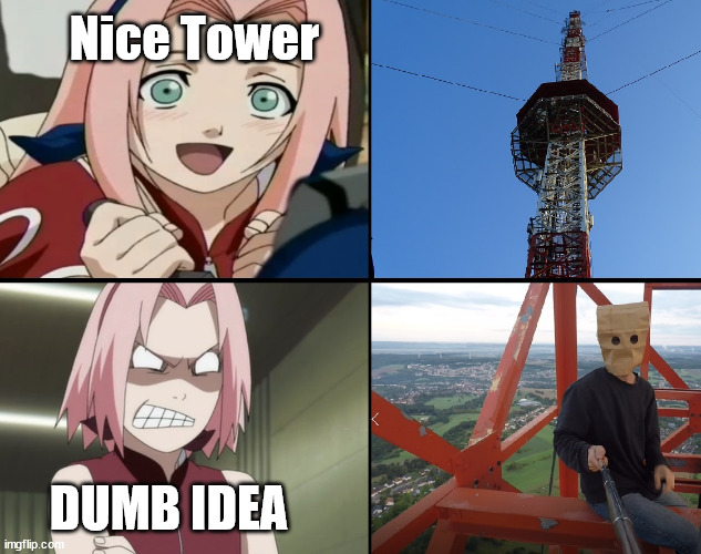 Naruto meme | Nice Tower; DUMB IDEA | image tagged in sakura,naruto,latticeclimbing,baghead,germany,radiotower | made w/ Imgflip meme maker
