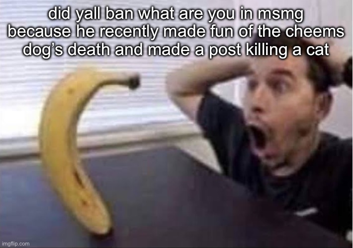banana standing up | did yall ban what are you in msmg because he recently made fun of the cheems dog’s death and made a post killing a cat | image tagged in banana standing up | made w/ Imgflip meme maker