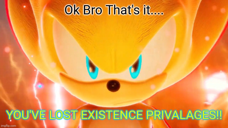 High Quality YOU'VE LOST EXISTENCE PRIVALAGES Blank Meme Template