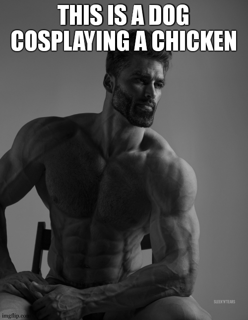 Giga Chad | THIS IS A DOG COSPLAYING A CHICKEN | image tagged in giga chad | made w/ Imgflip meme maker
