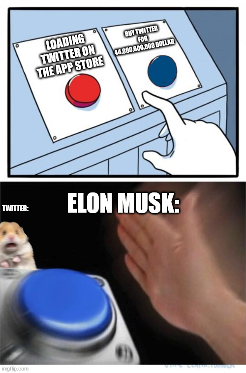 Elon Musk? | BUY TWITTER FOR 44.000.000.000 DOLLAR; LOADING TWITTER ON THE APP STORE; ELON MUSK:; TWITTER: | image tagged in two buttons 1 blue,elon musk,hamster | made w/ Imgflip meme maker