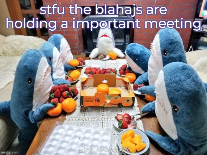 We discussin | stfu the blahajs are holding a important meeting | image tagged in we discussin | made w/ Imgflip meme maker