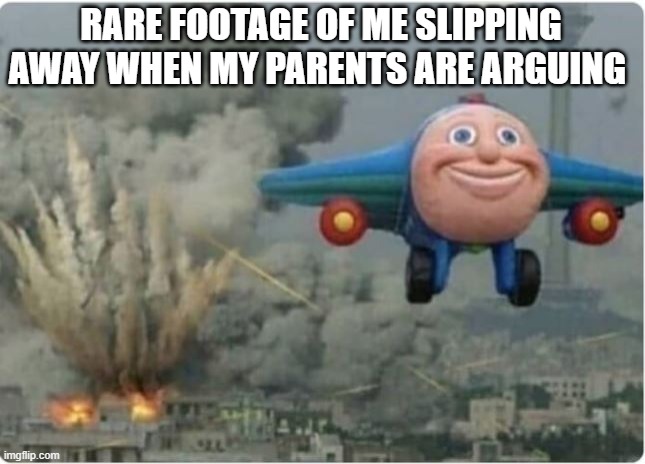 Fly, you fools ! | RARE FOOTAGE OF ME SLIPPING AWAY WHEN MY PARENTS ARE ARGUING | image tagged in flying away from chaos | made w/ Imgflip meme maker