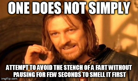 One Does Not Simply Meme | ONE DOES NOT SIMPLY ATTEMPT TO AVOID THE STENCH OF A FART WITHOUT PAUSING FOR FEW SECONDS TO SMELL IT FIRST | image tagged in memes,one does not simply | made w/ Imgflip meme maker