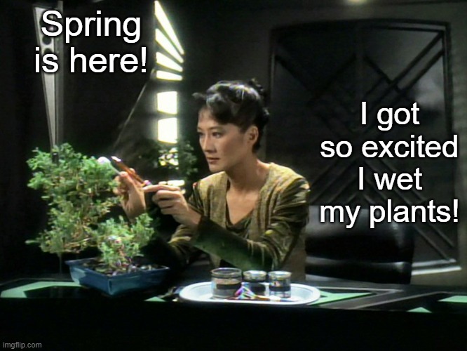 Keiko Tells a Botany Joke | I got so excited I wet my plants! Spring is here! | image tagged in keiko with plant | made w/ Imgflip meme maker