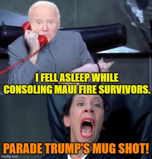 Political damage control is a leftist thing. | I FELL ASLEEP WHILE CONSOLING MAUI FIRE SURVIVORS. PARADE TRUMP'S MUG SHOT! | image tagged in evil biden frau | made w/ Imgflip meme maker