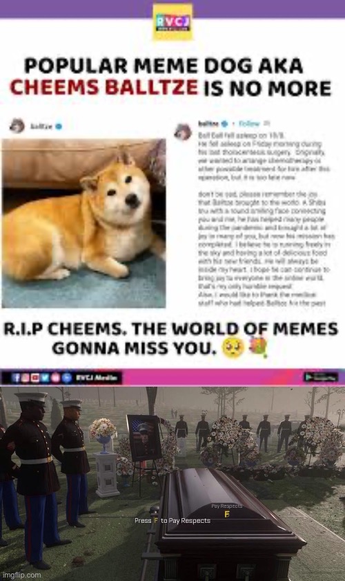 Type f in comments to pay respects to cheems | image tagged in press f to pay respects,sad,cheems,memes,not funny | made w/ Imgflip meme maker