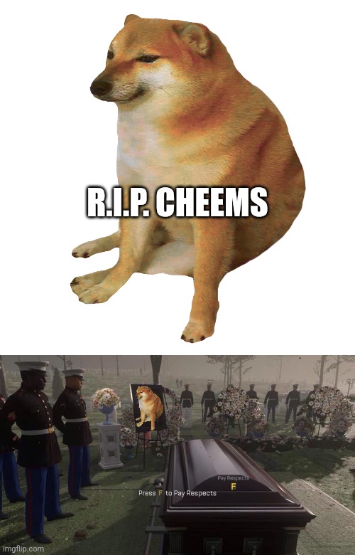 R.I.P. Cheems | R.I.P. CHEEMS | image tagged in cheems,press f to pay respects | made w/ Imgflip meme maker
