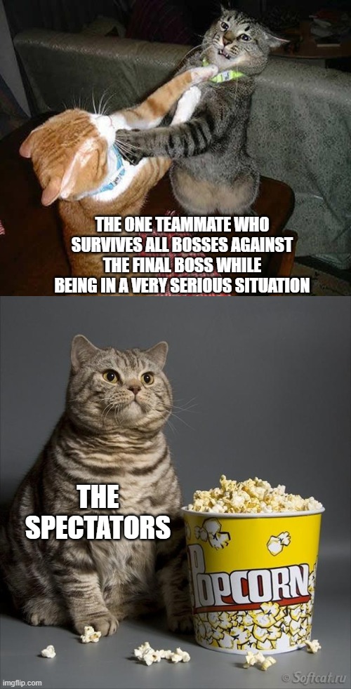 spectator | THE ONE TEAMMATE WHO SURVIVES ALL BOSSES AGAINST THE FINAL BOSS WHILE BEING IN A VERY SERIOUS SITUATION; THE SPECTATORS | image tagged in cat watching other cats fight | made w/ Imgflip meme maker