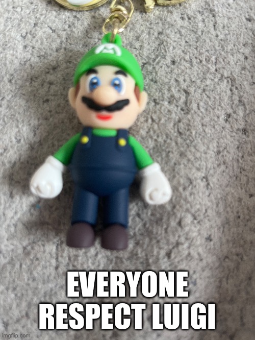 EVERYONE RESPECT LUIGI | made w/ Imgflip meme maker