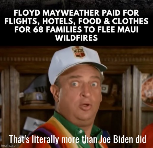 Money Mayweather helping out. | That's literally more than Joe Biden did | image tagged in memes | made w/ Imgflip meme maker