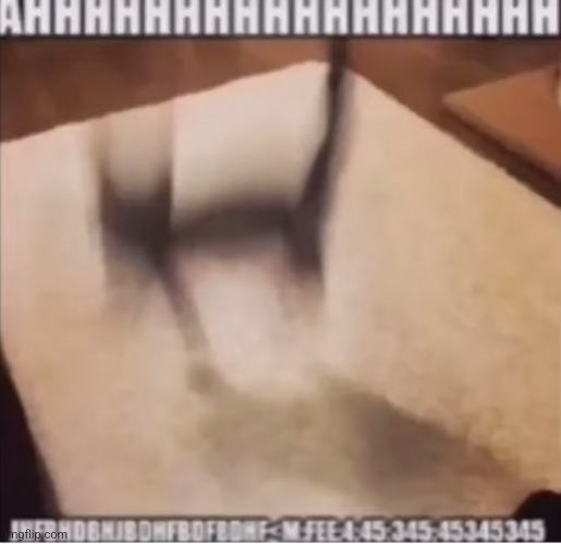 AHHHHHH JHFBHDBNJBDHFBOFBONF<M:FEE:4:45:345: | made w/ Imgflip meme maker