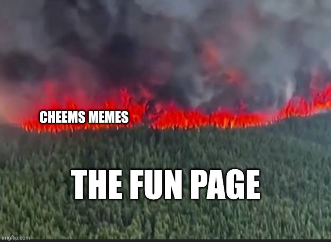It's not fun, it's just sad ? | CHEEMS MEMES; THE FUN PAGE | image tagged in cheems,sad,fun,death,crying | made w/ Imgflip meme maker
