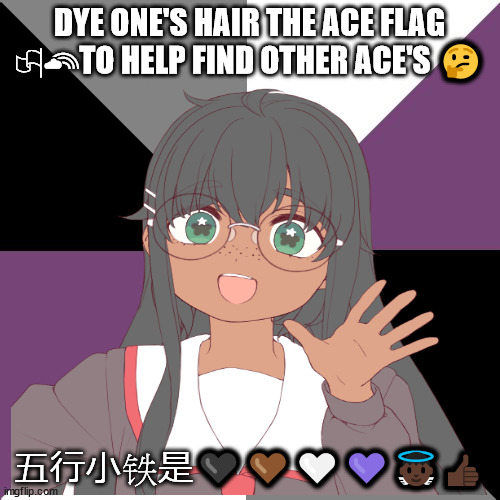 Gune shall means singer in Chinese | DYE ONE'S HAIR THE ACE FLAG 🏳‍🌈TO HELP FIND OTHER ACE'S 🤔; 五行小铁是🖤🤎🤍💜👼🏿👍🏿 | image tagged in asexual meme | made w/ Imgflip meme maker