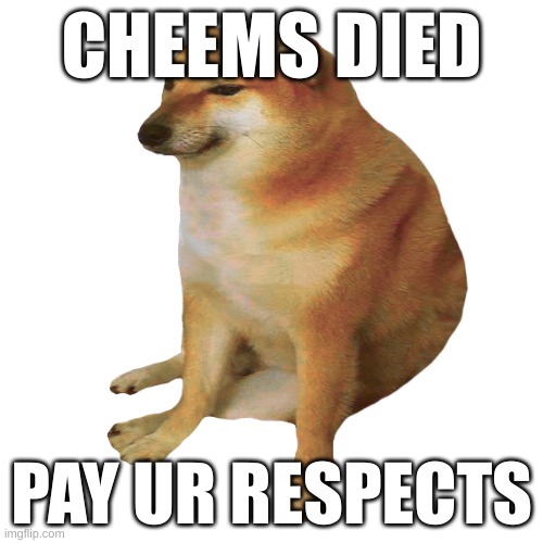 RIP LEGEND | CHEEMS DIED; PAY UR RESPECTS | image tagged in cheems,rip | made w/ Imgflip meme maker