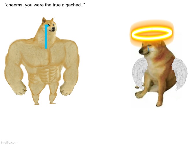 rip cheems | “cheems, you were the true gigachad..” | image tagged in memes,buff doge vs cheems,cheems | made w/ Imgflip meme maker