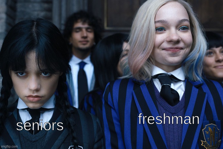 high school | freshman; seniors | image tagged in wednesday and enid | made w/ Imgflip meme maker