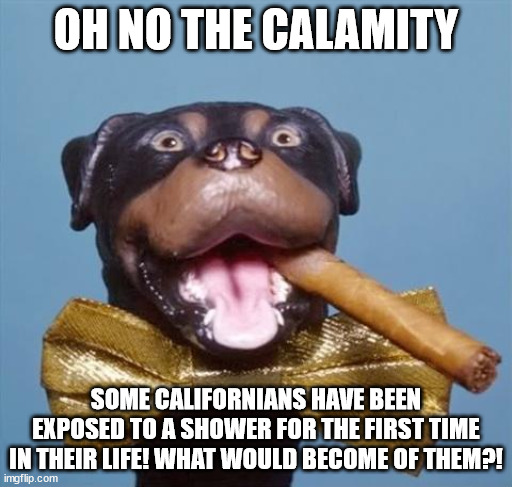 Triumph the Insult Comic Dog | OH NO THE CALAMITY SOME CALIFORNIANS HAVE BEEN EXPOSED TO A SHOWER FOR THE FIRST TIME IN THEIR LIFE! WHAT WOULD BECOME OF THEM?! | image tagged in triumph the insult comic dog | made w/ Imgflip meme maker